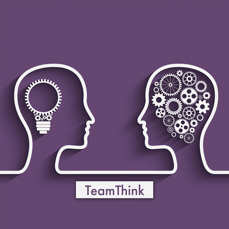 TeamThink Subscription