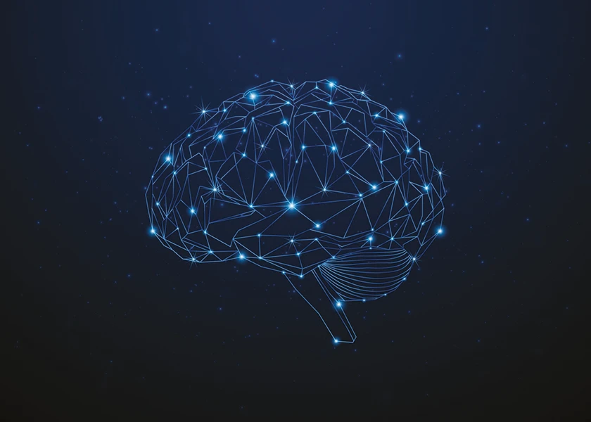 Cognitive Immersion Brain