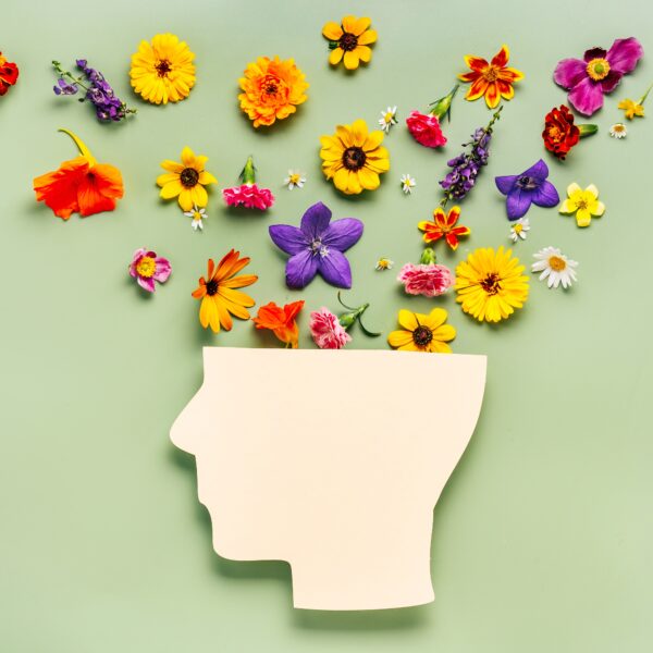 Mental Health Series